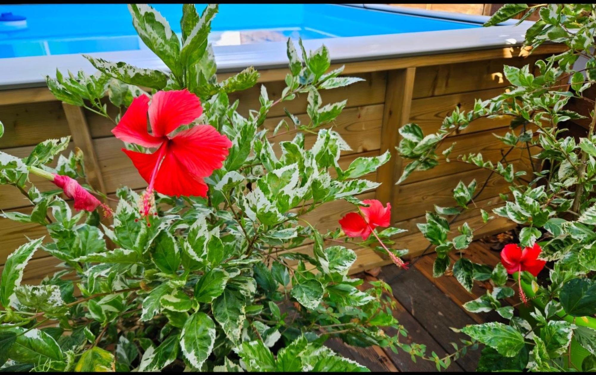 Gite Rubis Passion Пор-Луи Экстерьер фото